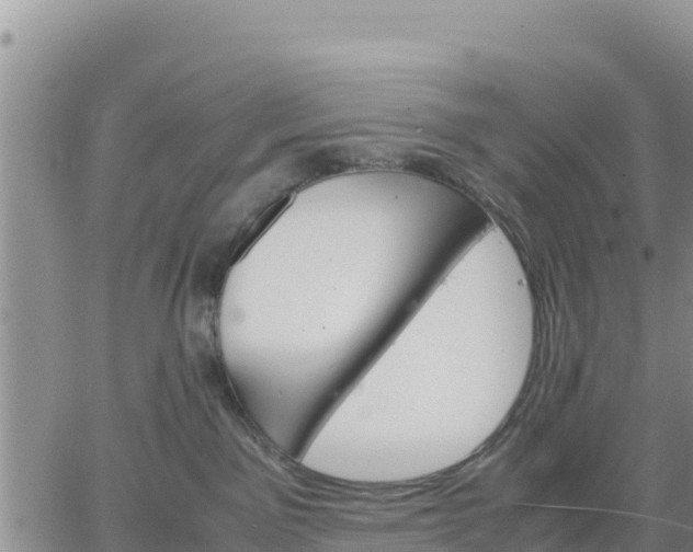 X0000064750141200602171743