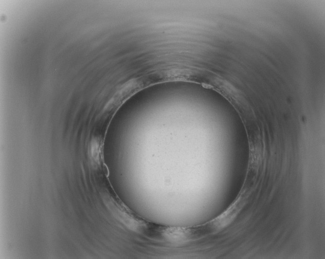 X0000064750142200602171743