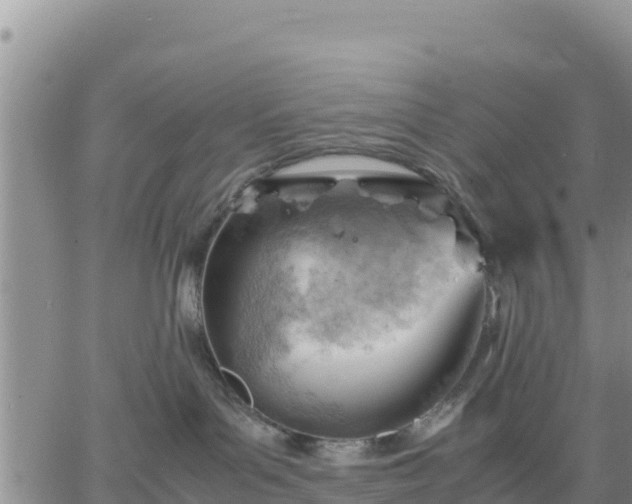 X0000064750143200602171743