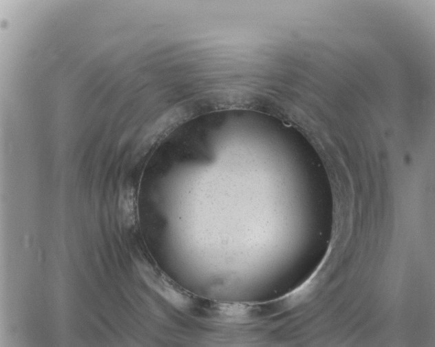 X0000064750144200602171743