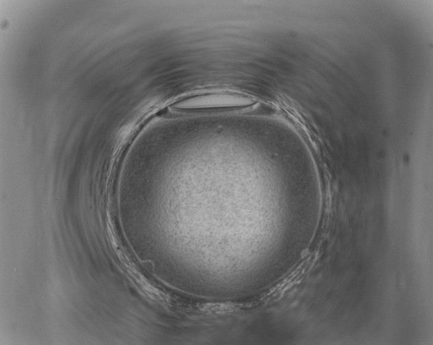 X0000064750145200602171742