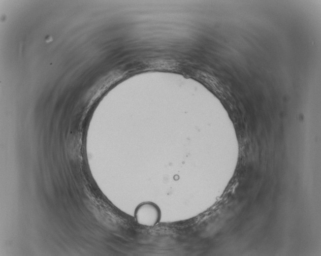 X0000064750146200602171742