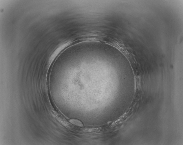 X0000064750147200602171742