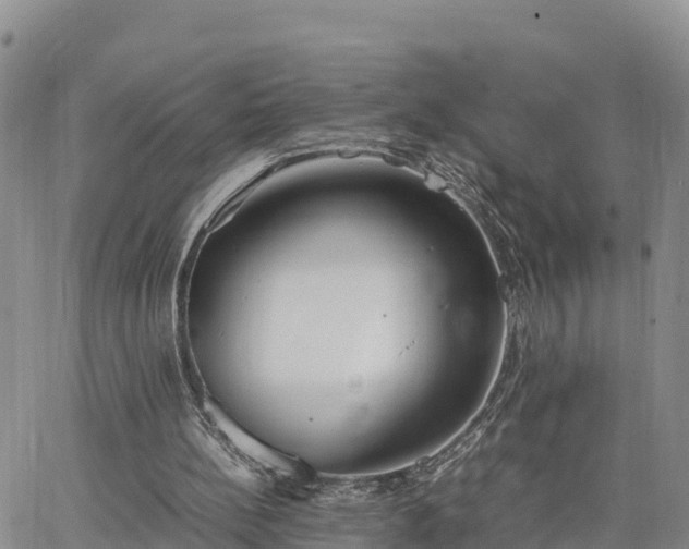 X0000064750148200602171742