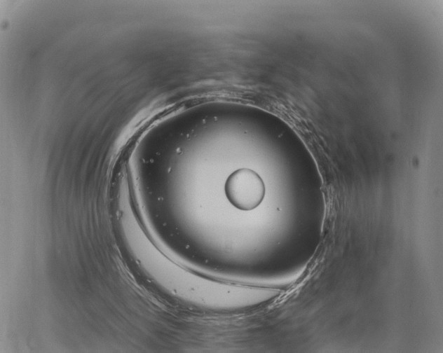 X0000064750150200602171742