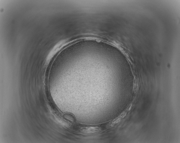 X0000064750151200602171742