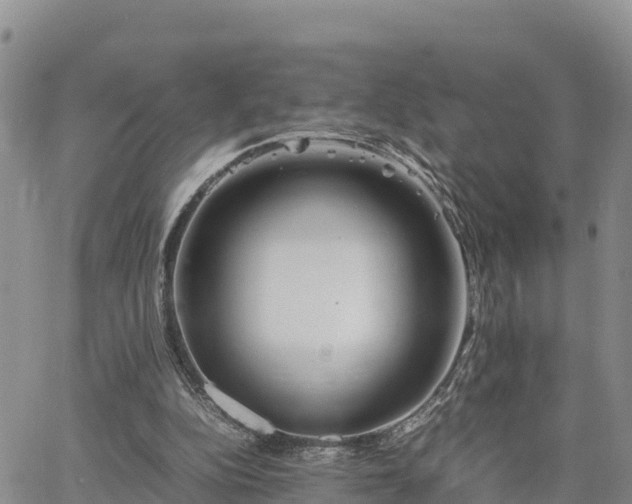 X0000064750152200602171742