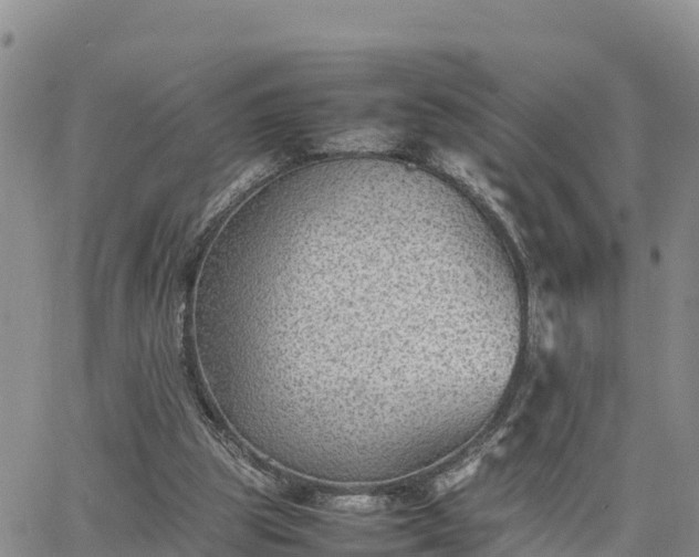 X0000064750153200602171742