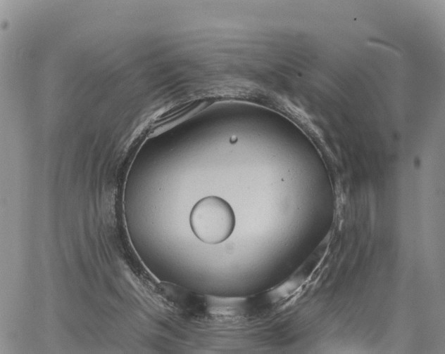 X0000064750154200602171742