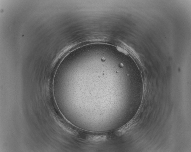 X0000064750155200602171742