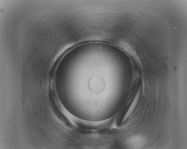 X0000064750156200602171742