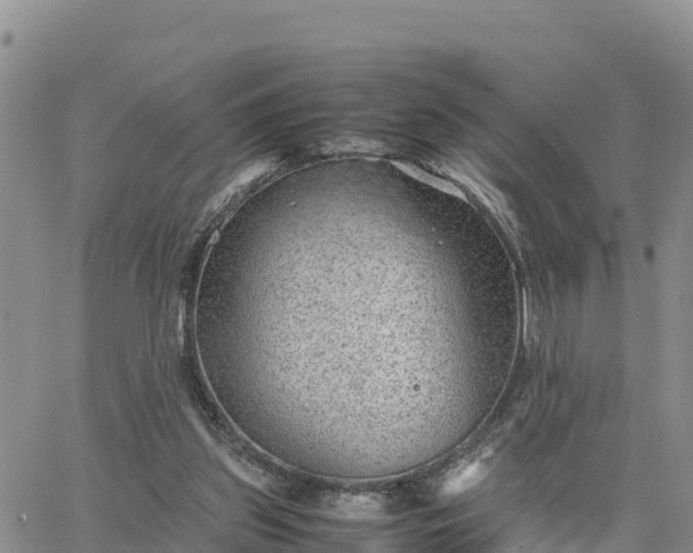 X0000064750157200602171742