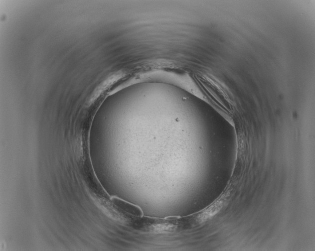 X0000064750158200602171742