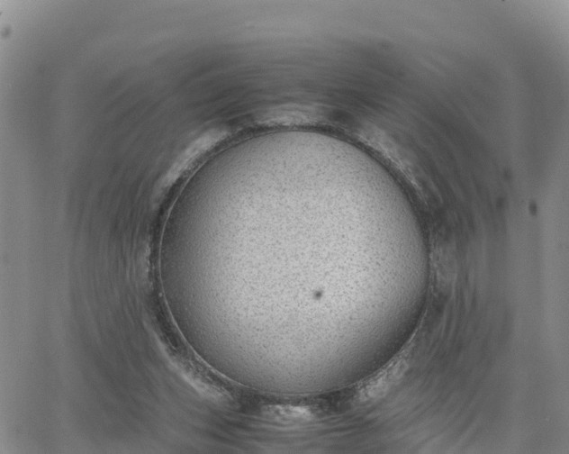 X0000064750159200602171742