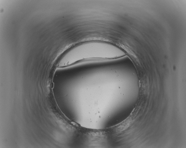 X0000064750160200602171742