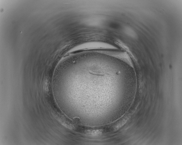 X0000064750161200602171742