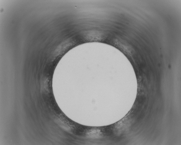 X0000064750162200602171742