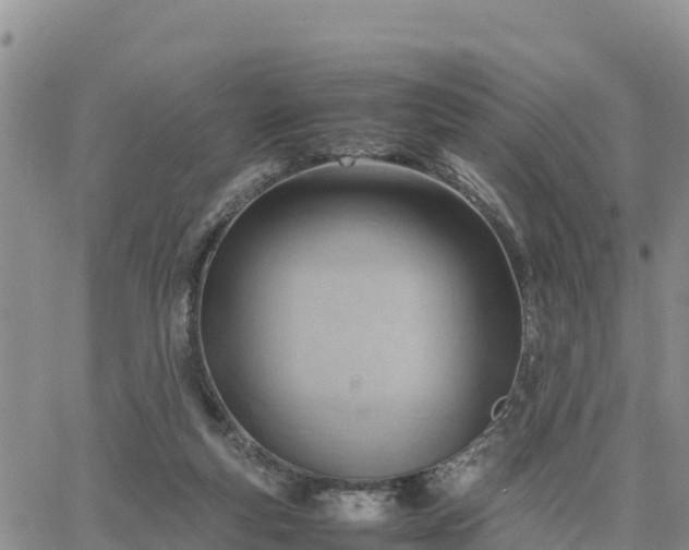 X0000064750163200602171742