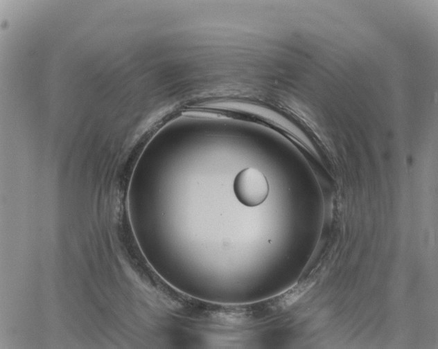 X0000064750164200602171742