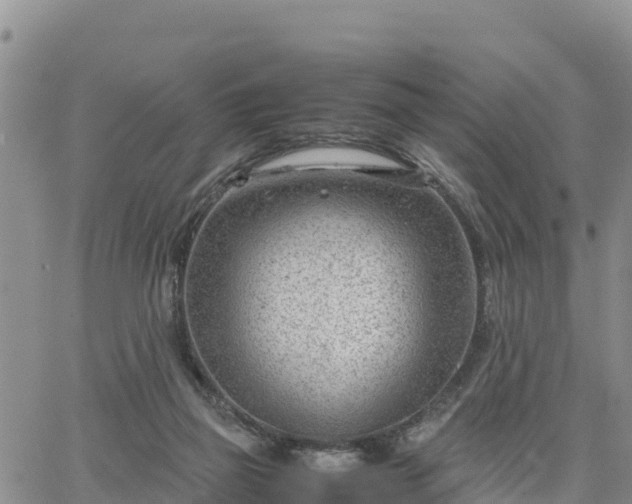 X0000064750165200602171742