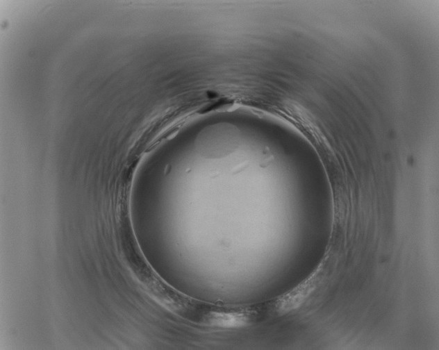 X0000064750167200602171742