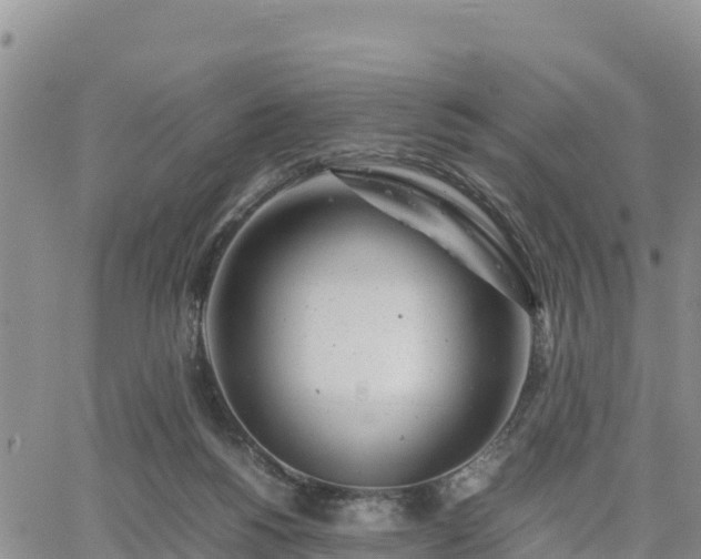 X0000064750168200602171742