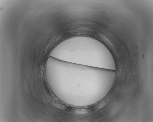 X0000064750169200602171742