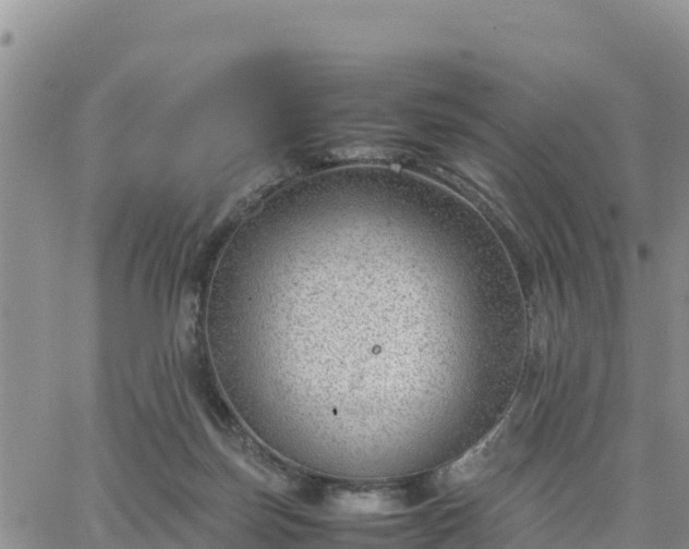 X0000064750171200602171742