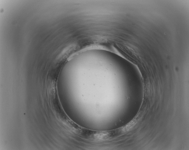 X0000064750172200602171742