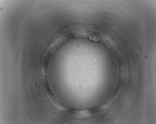 X0000064750173200602171742