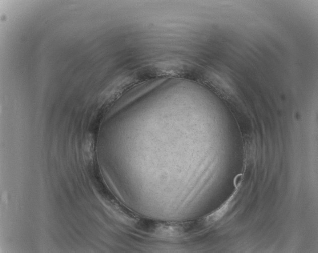 X0000064750174200602171742