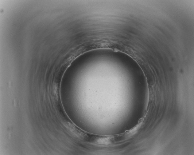 X0000064750178200602171742