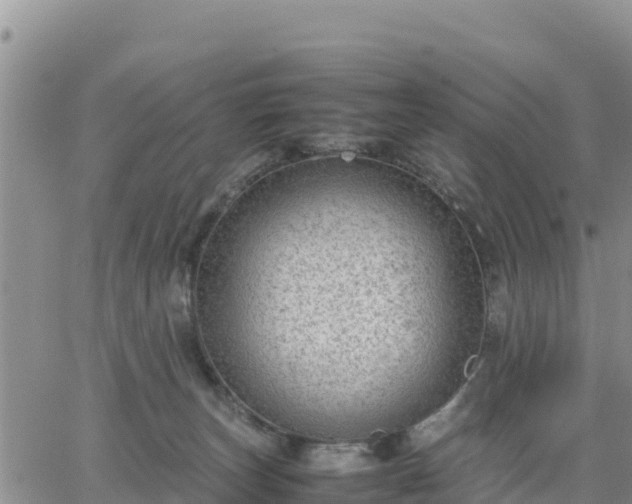 X0000064750179200602171742