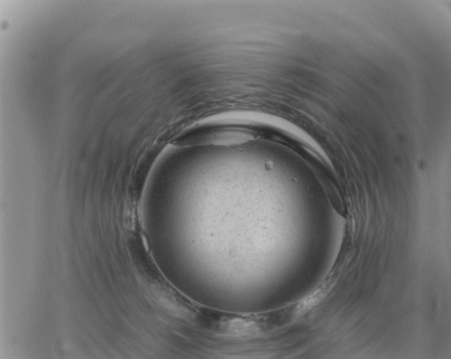 X0000064750180200602171742