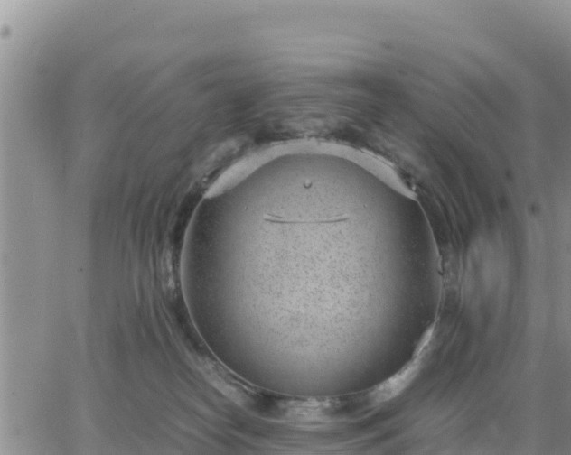 X0000064750182200602171742