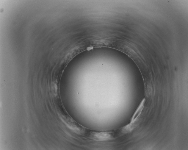 X0000064750183200602171742