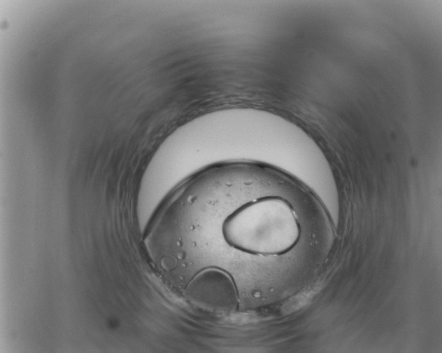 X0000064750185200602171742