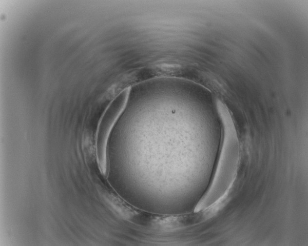 X0000064750186200602171742