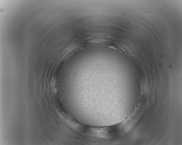 X0000064750187200602171742