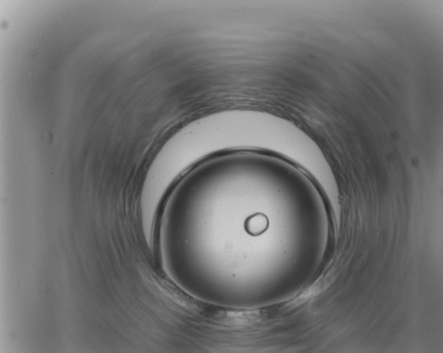 X0000064750188200602171742