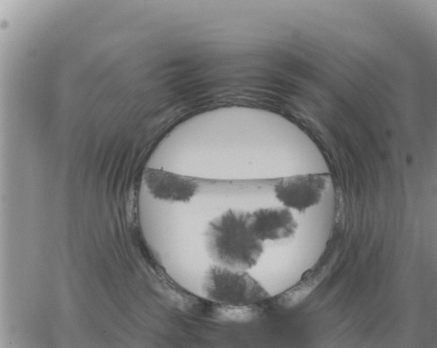 X0000064750189200602171742