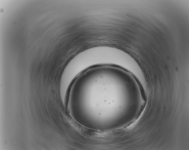 X0000064750190200602171742