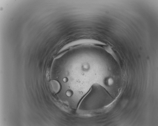 X0000064750191200602171743