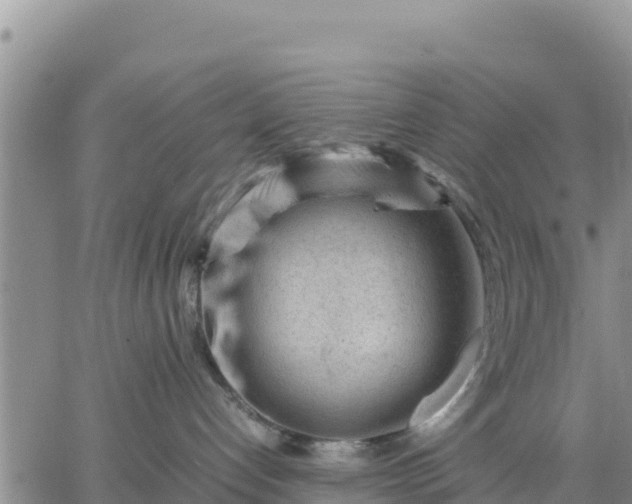 X0000064750192200602171743