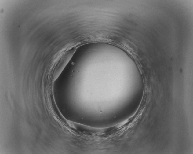 X0000064750193200602171742