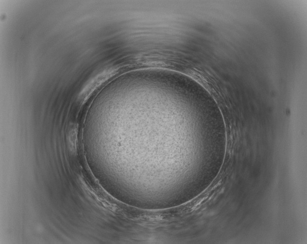 X0000064750194200602171742