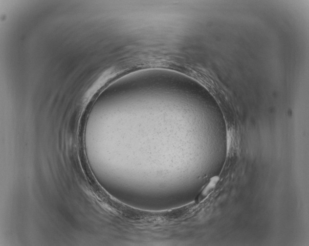 X0000064750195200602171742