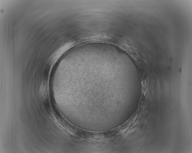 X0000064750196200602171742