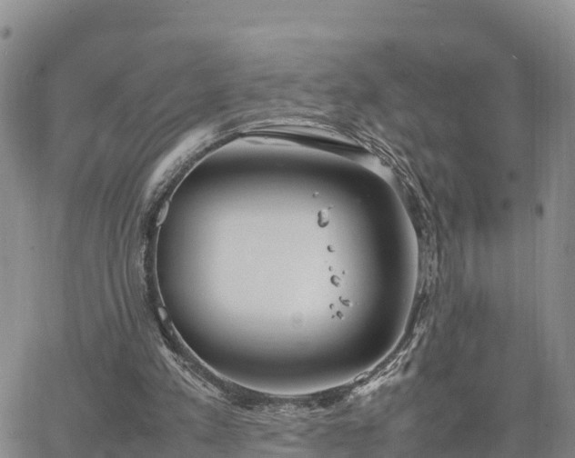 X0000064750197200602171742