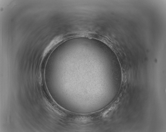 X0000064750198200602171742